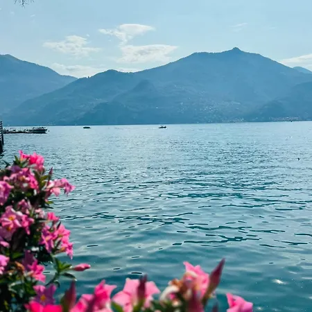 L'ulivo 5 Chilometri Da Varenna Vista In Via Privata Lierna