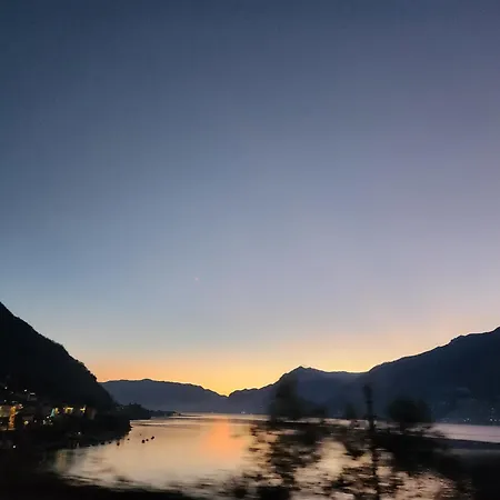 L'ulivo In Vista A 5 Chilometri Da Varenna