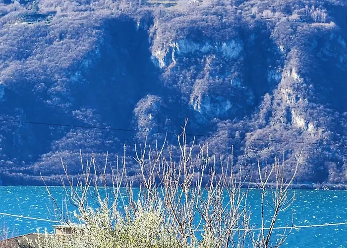 L'ulivo 5 Chilometri Da Varenna Vista In Via Privata Appartement