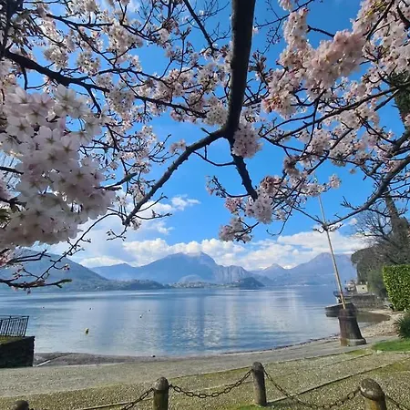 Apartment L'ulivo View Private Road 5 Kilometers From Varenna Lierna