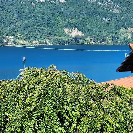 Apartment L'ulivo View Private Road 5 Kilometers From Varenna Lierna