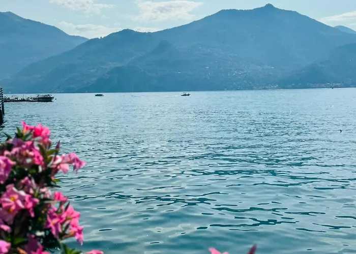 L'ulivo 5 Chilometri Da Varenna Vista In Via Privata Lierna